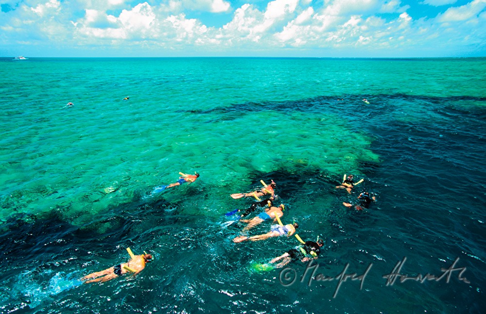 snorklers of a diving boat
