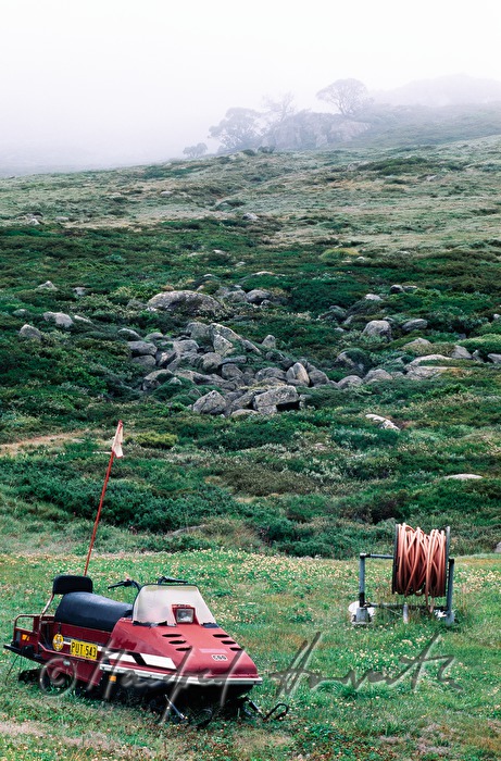 Skidoo in the green grass