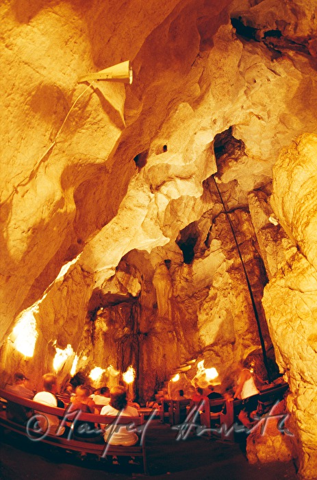 visitors of the 