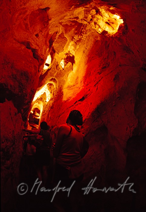 visitors of the 