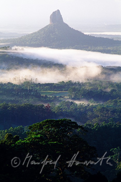 Mount Coonowrin and morning mist