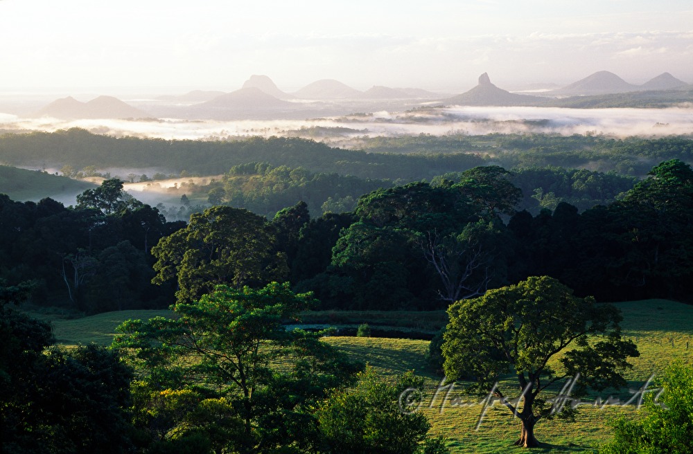 morning mist over the Glass House Mountains