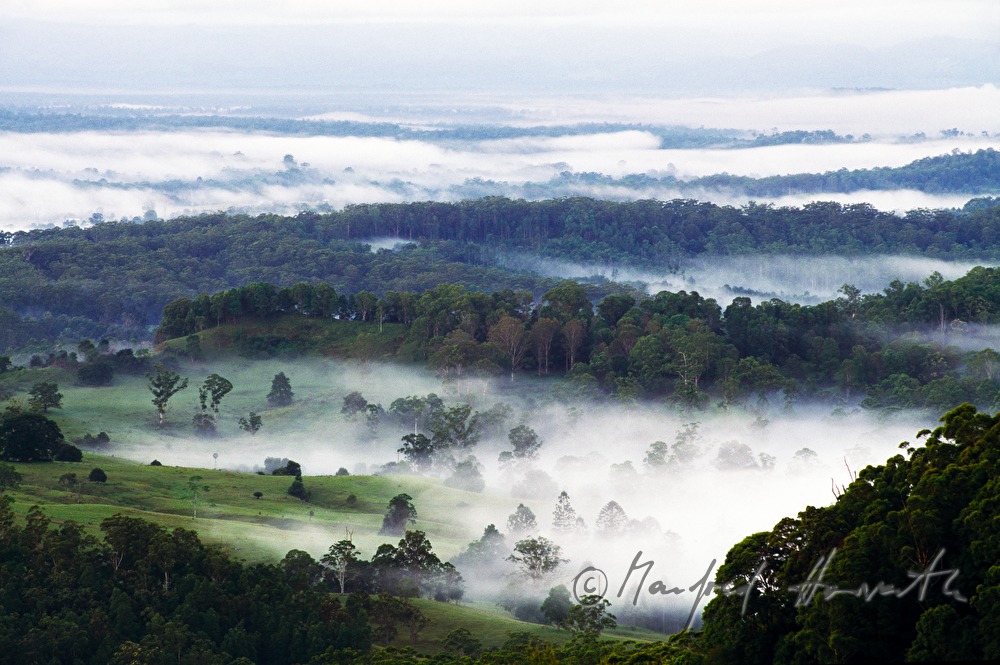 morning mist over the Glass House Mountains