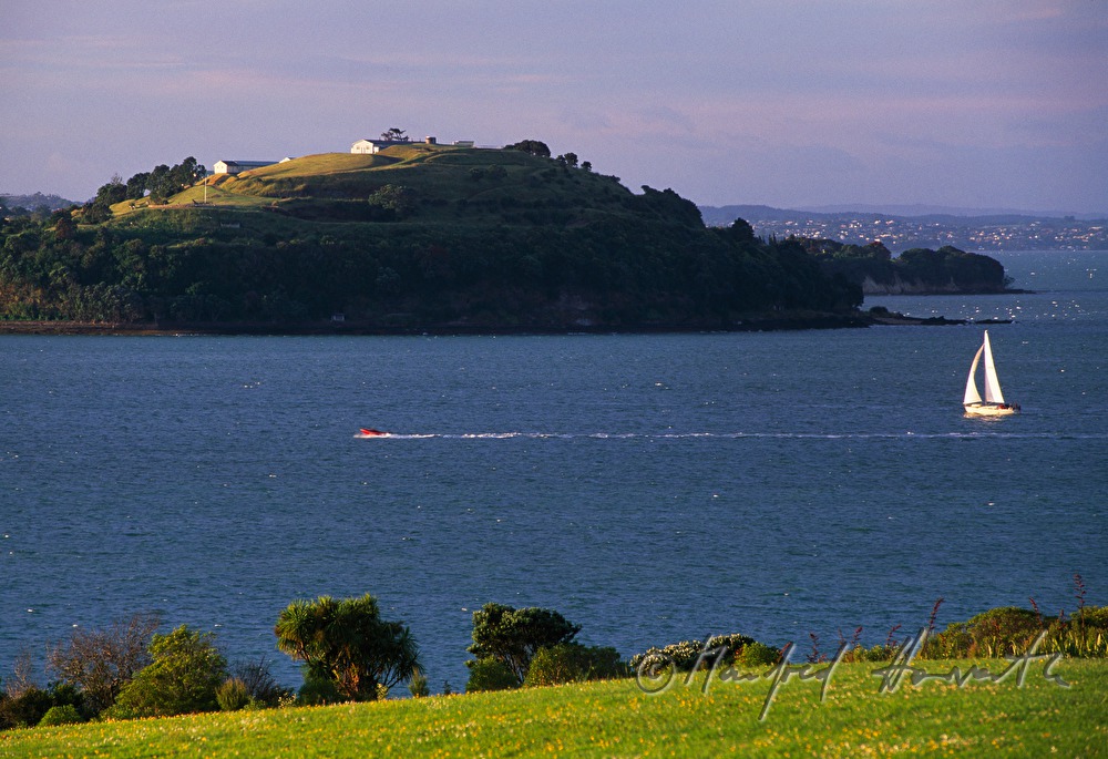 volcanic island Rangitoto and the Hauraki Gulf Marine Park