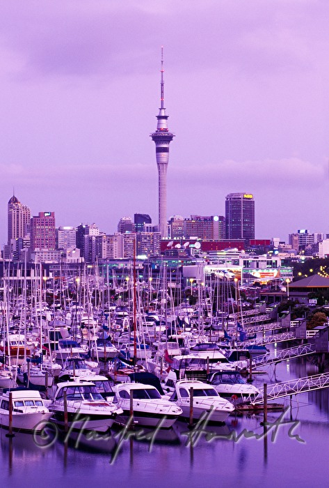 skyline with boats of Westhaven