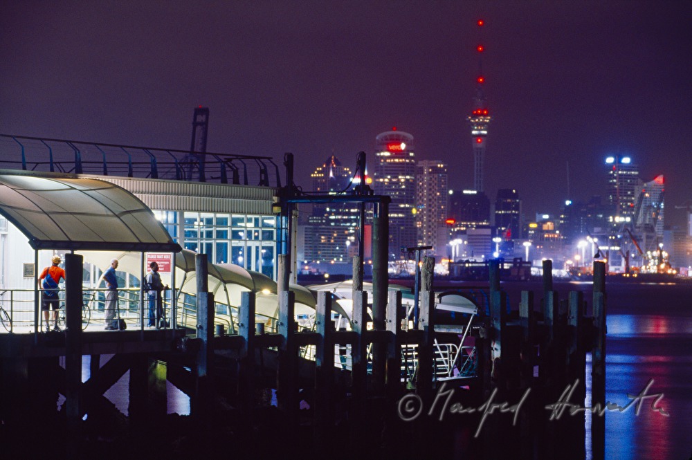 customers at the Devonport passenger ferry