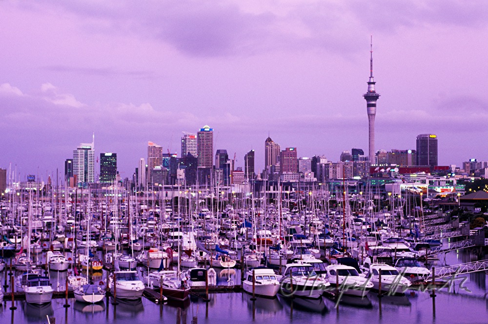 skyline with boats of Westhaven