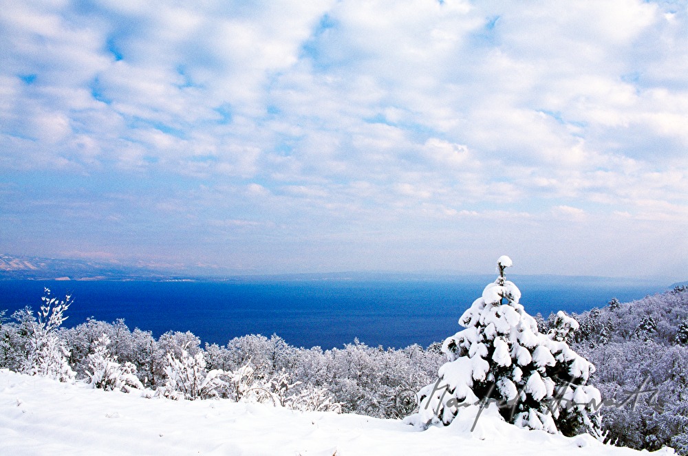 snowcovered forest near Opatija