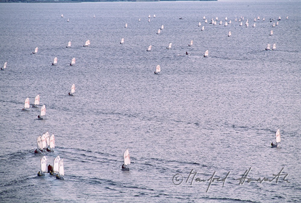 sailing regatta near Opatija