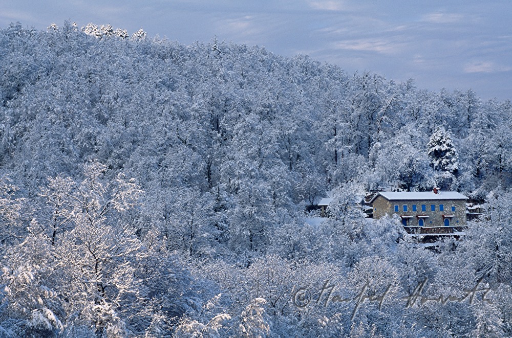 snowcovered forest and stone house