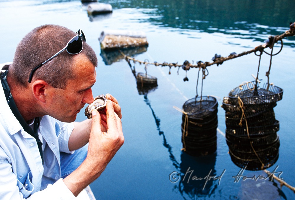 fisherman smells a mussel