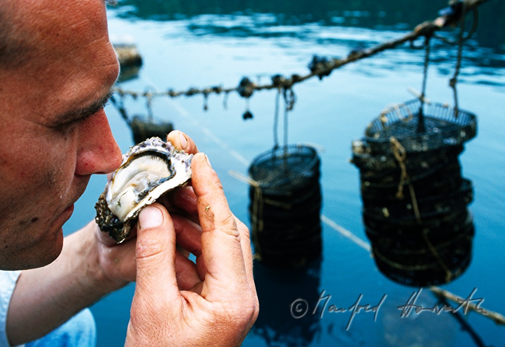 fisherman smells a mussel
