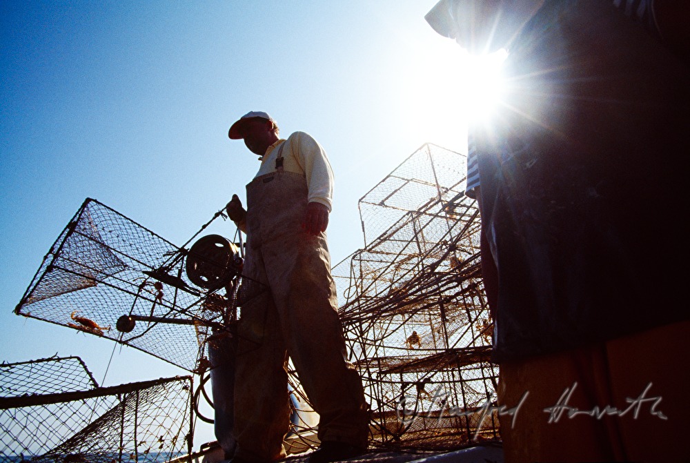 fishermen with fish traps on the boat
