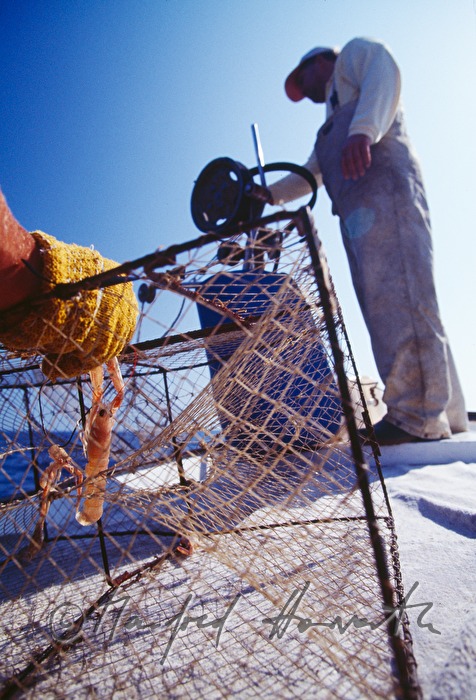 fishermen with fish traps on the boat