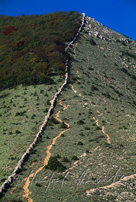 drystone walls and sheep-beaten tracks