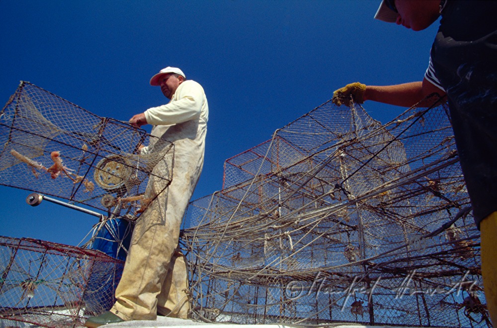 fishermen with fish traps on the boat