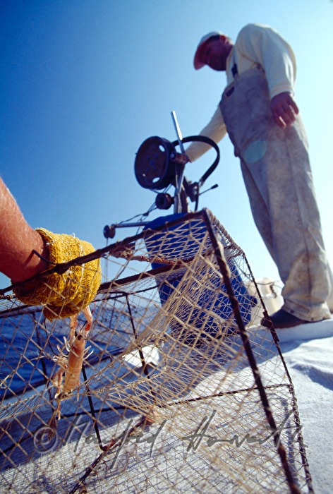 fishermen with fish traps on the boat