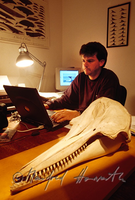biologist with a dolphin scull
