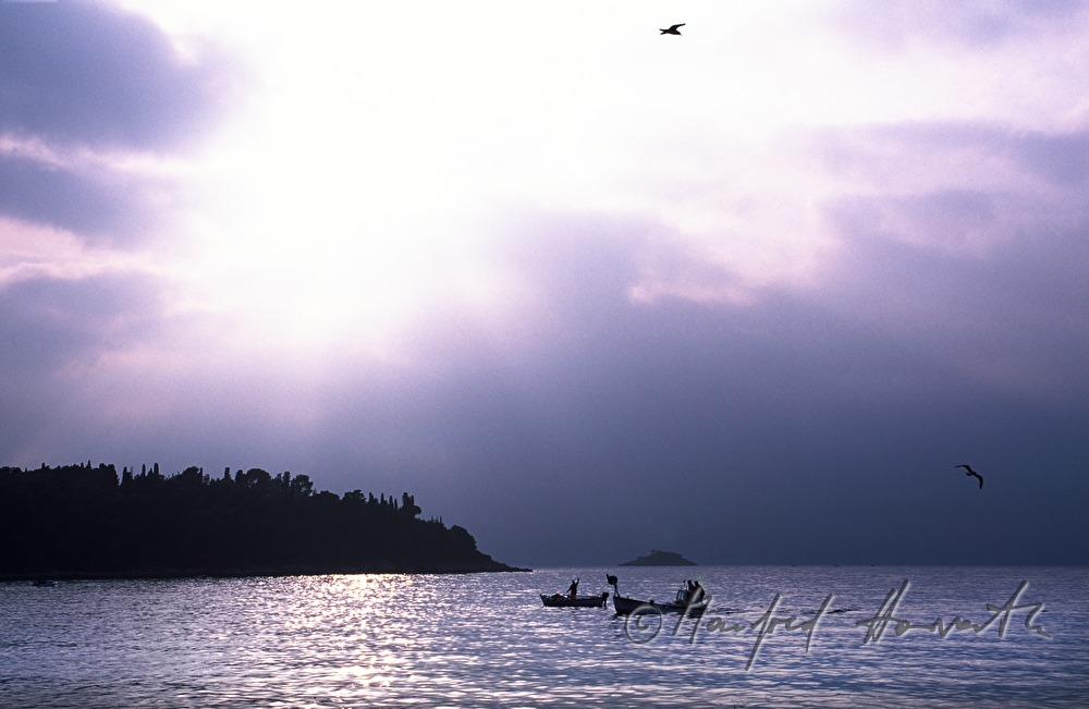 boats meet near the Catherine Island
