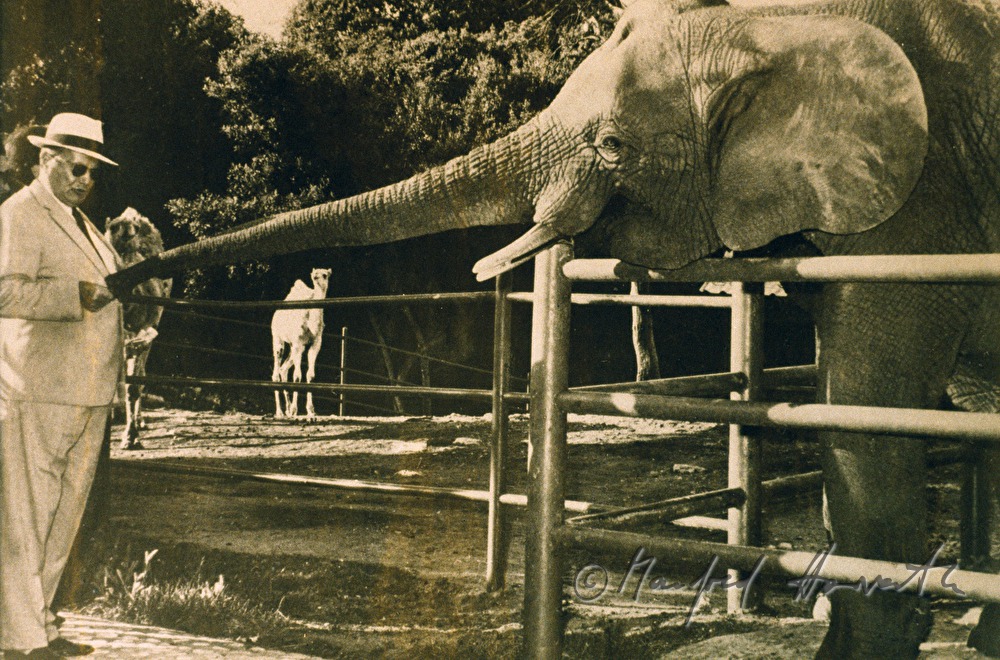 Tito with elephant in the Safaripark