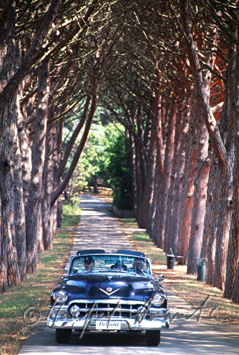 Chevrolet of Tito in an alley