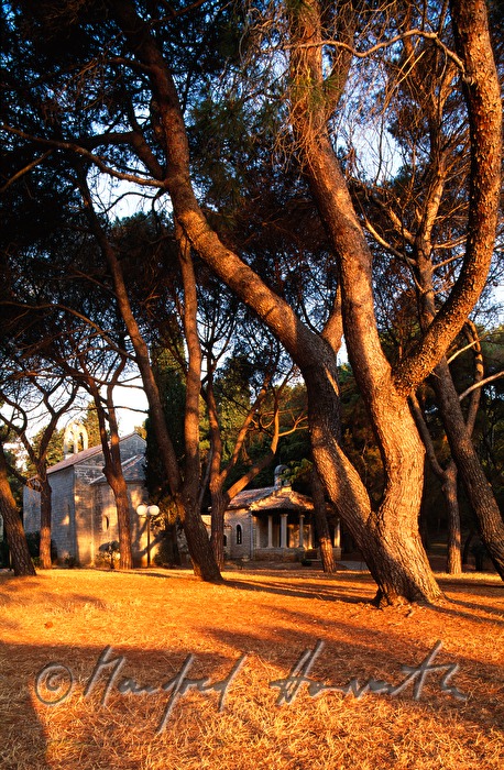 church in the forest
