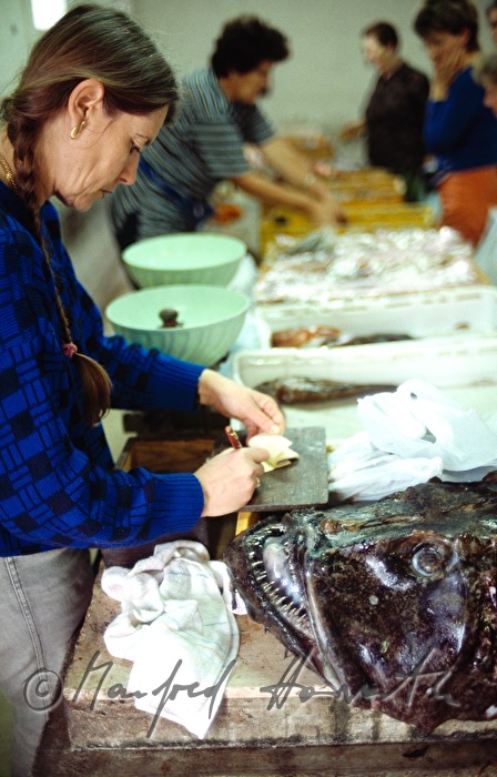 market-woman sells fish
