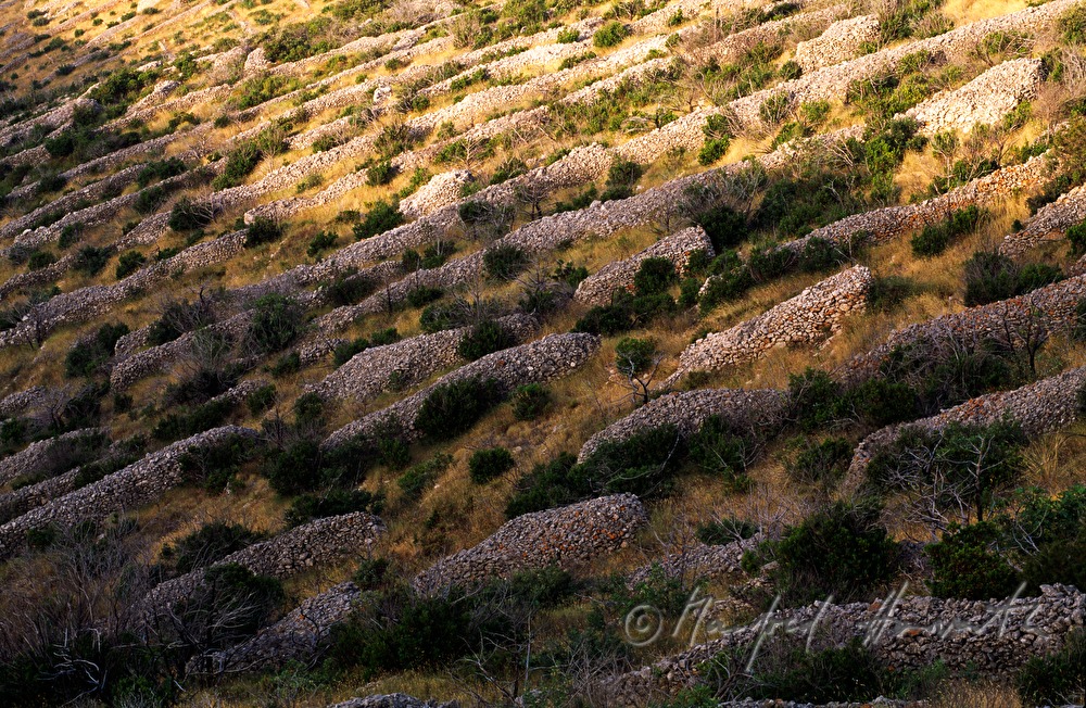stonewalls in a pitch
