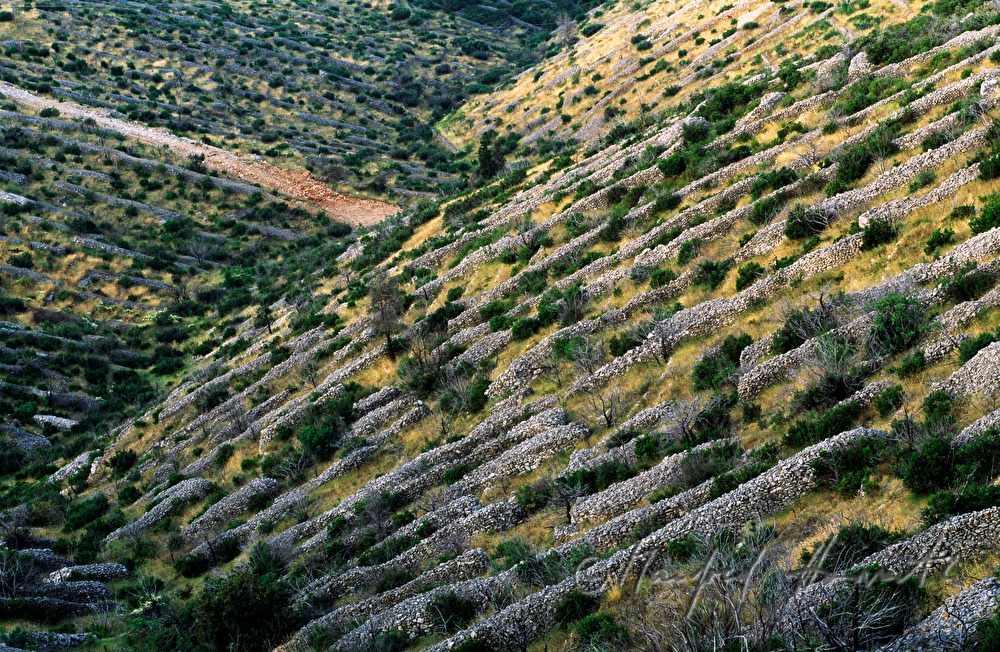 stonewalls in a pitch