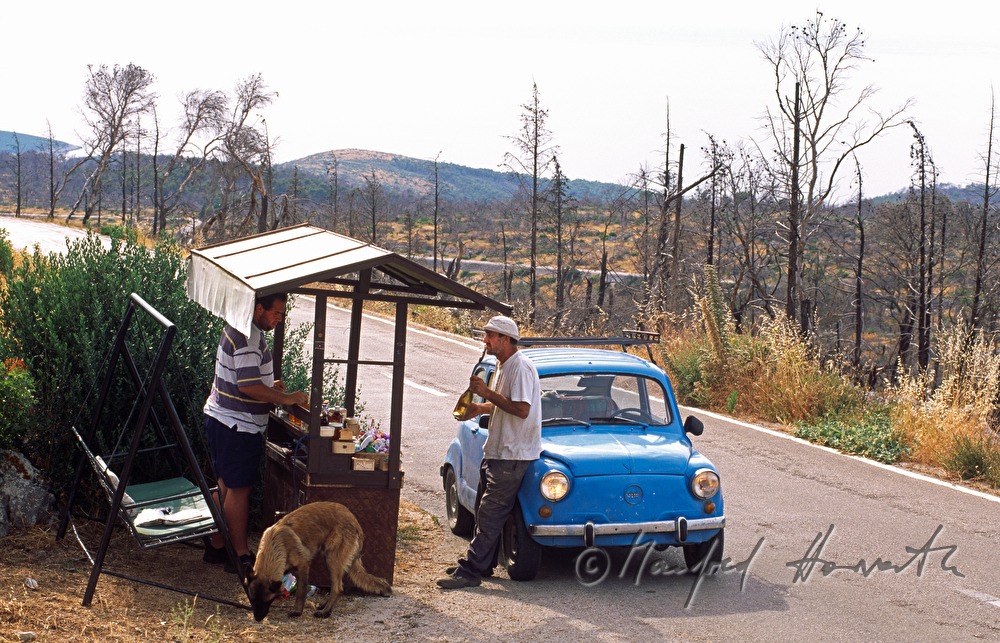 street trading of lavender products