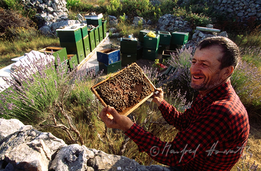 beekeper with bees