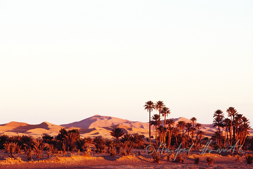 sand dunes at Erg Chebbi