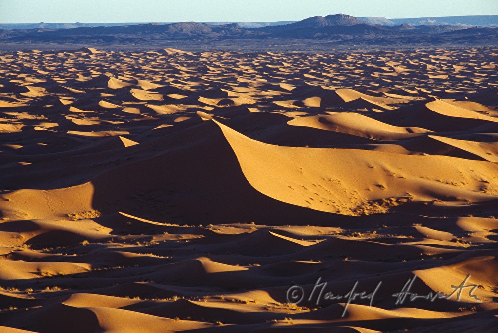 sand dunes at Erg Chebbi