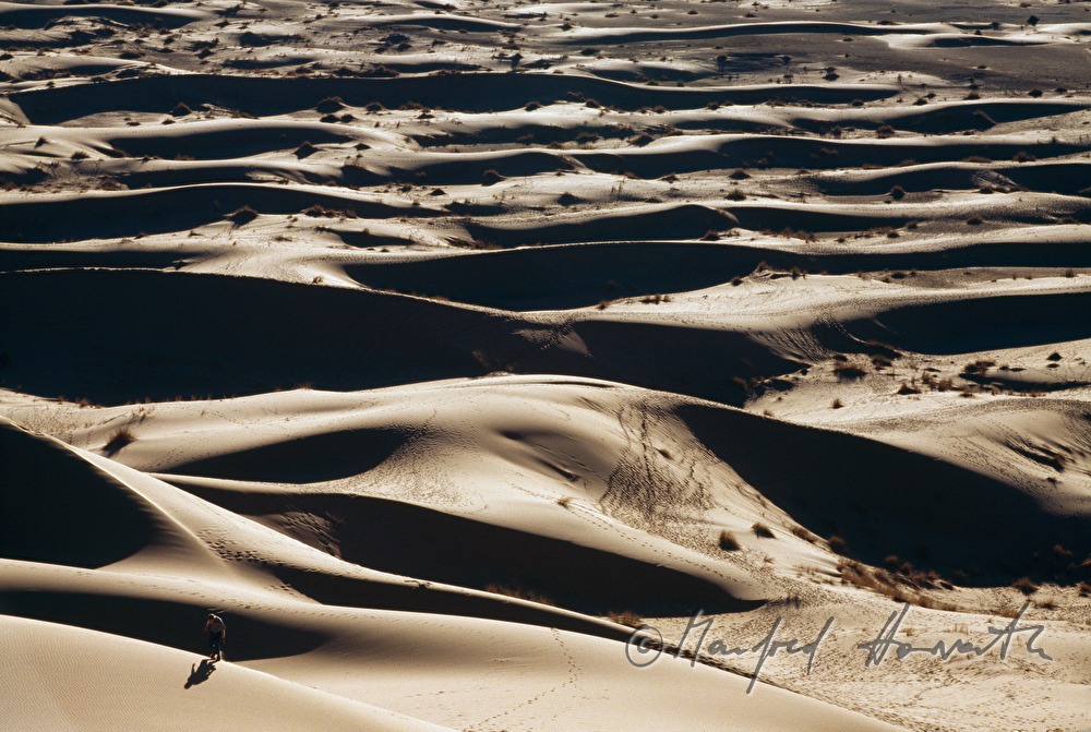 sand dunes at Erg Chebbi