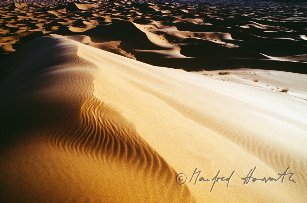 sand dunes at Erg Chebbi
