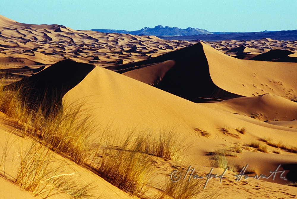 sand dunes at Erg Chebbi