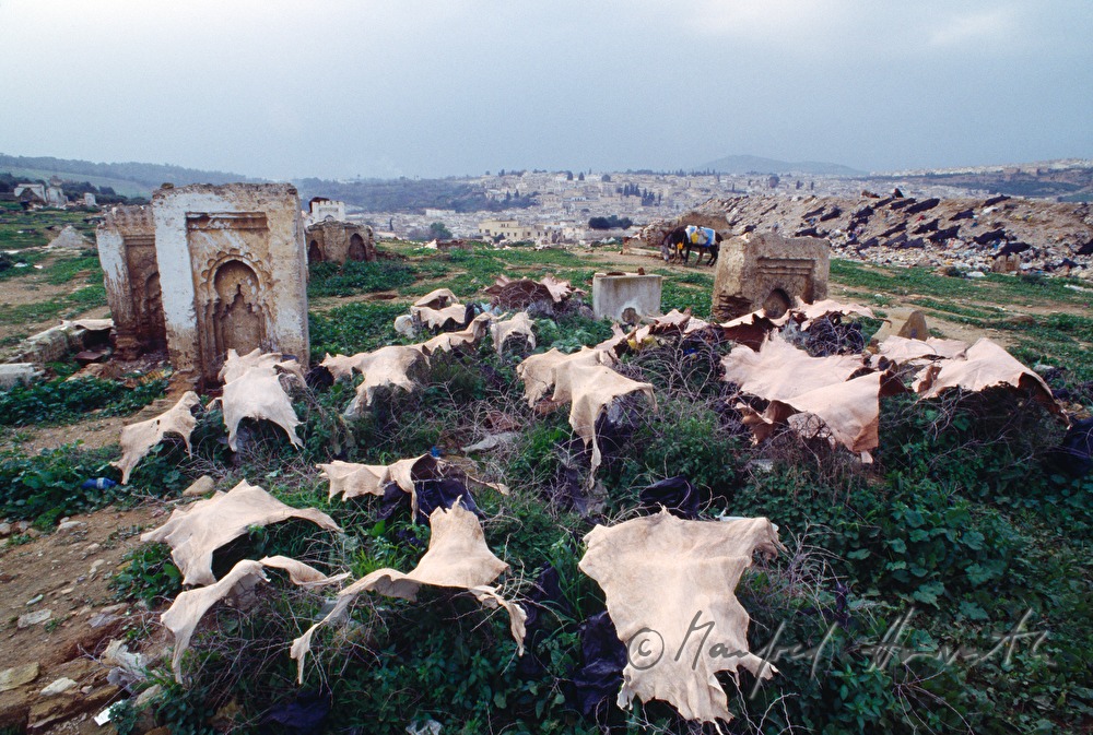 tanned leather spread out for drying