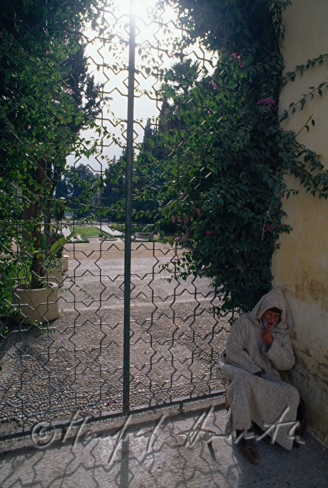 gate at garden palace Dar el Beida