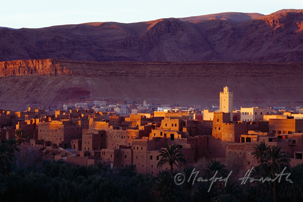 osis town Tinerhir in the Dades Valley
