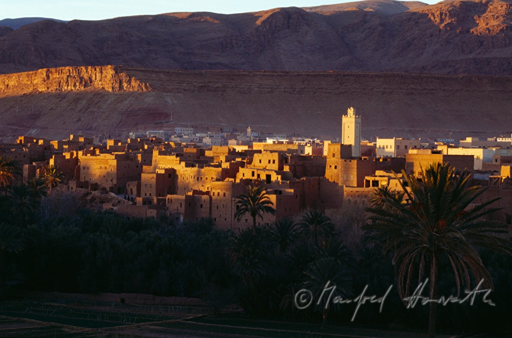 osis town Tinerhir in the Dades Valley