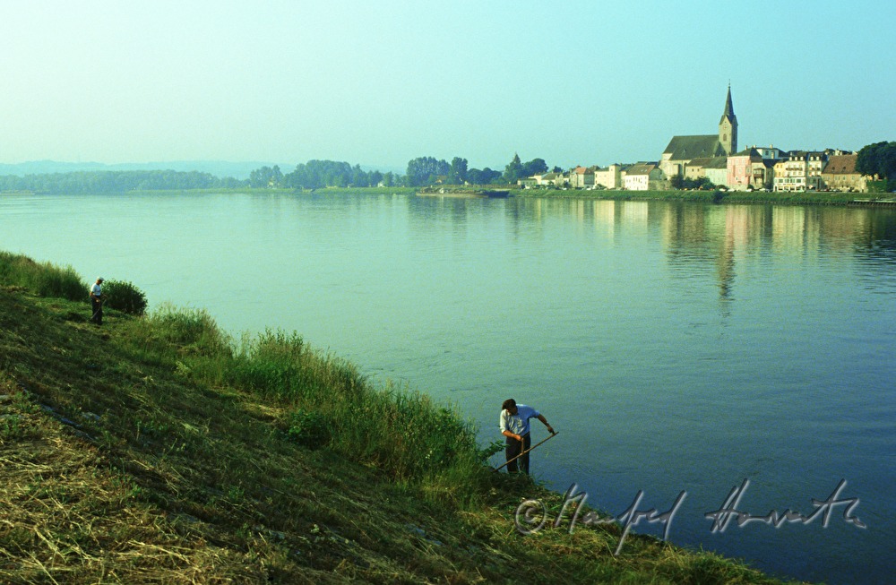 the small town Ybbs on the Danube
