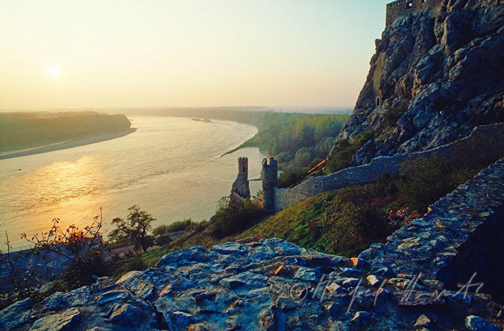 the tower 