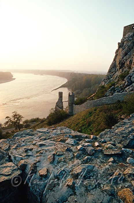 the tower 