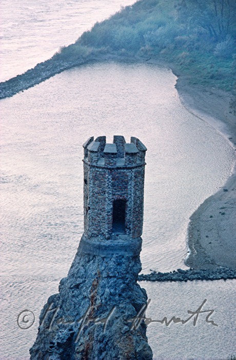 the tower 