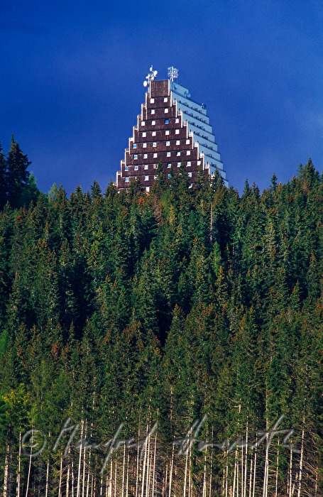 Hotel Panorama and conifer forest