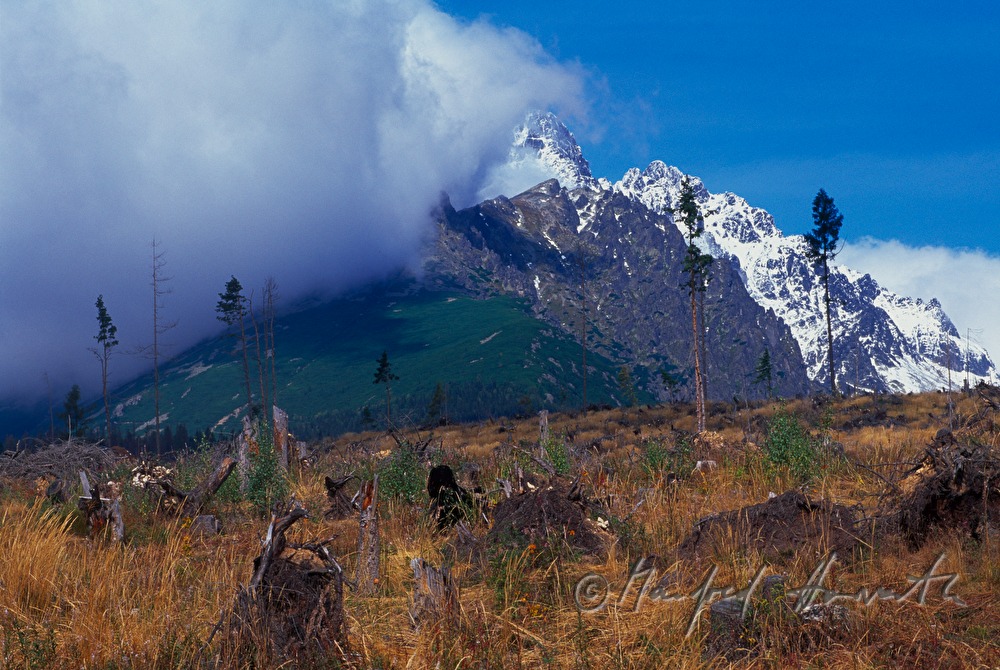 mountaintop and clouds