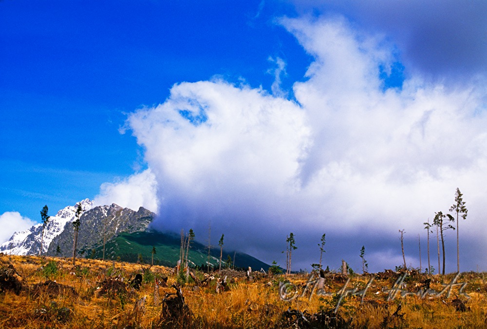 mountaintop and clouds