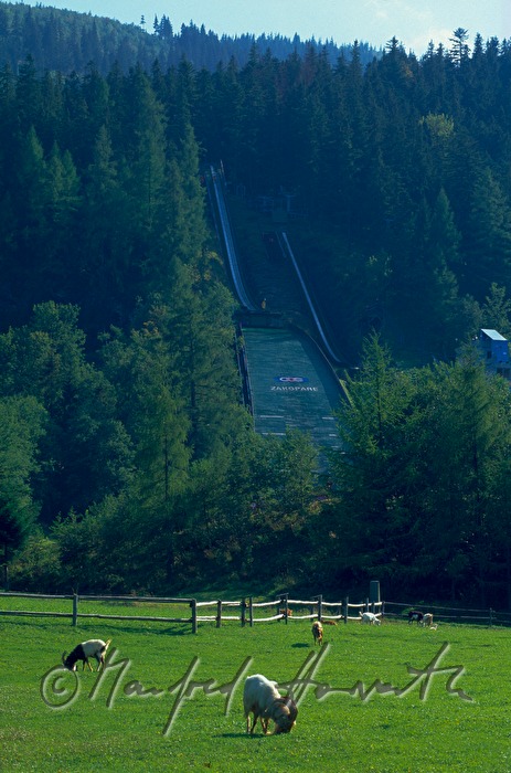 ski jumping hill  