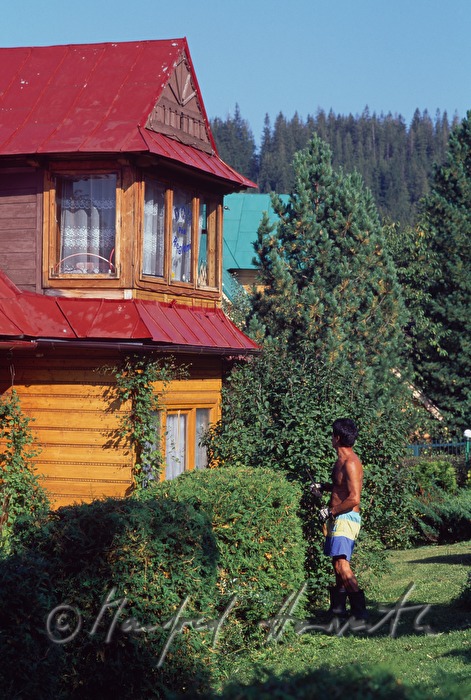 wood house in typical 