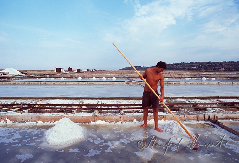 salt evaporation ponds: collecting the salt